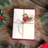 Christmas Robin Mini-Card Pack