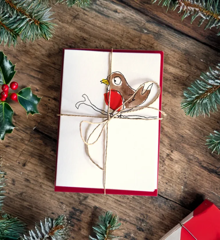 Pack of robin Christmas cards with Christmas flay lay